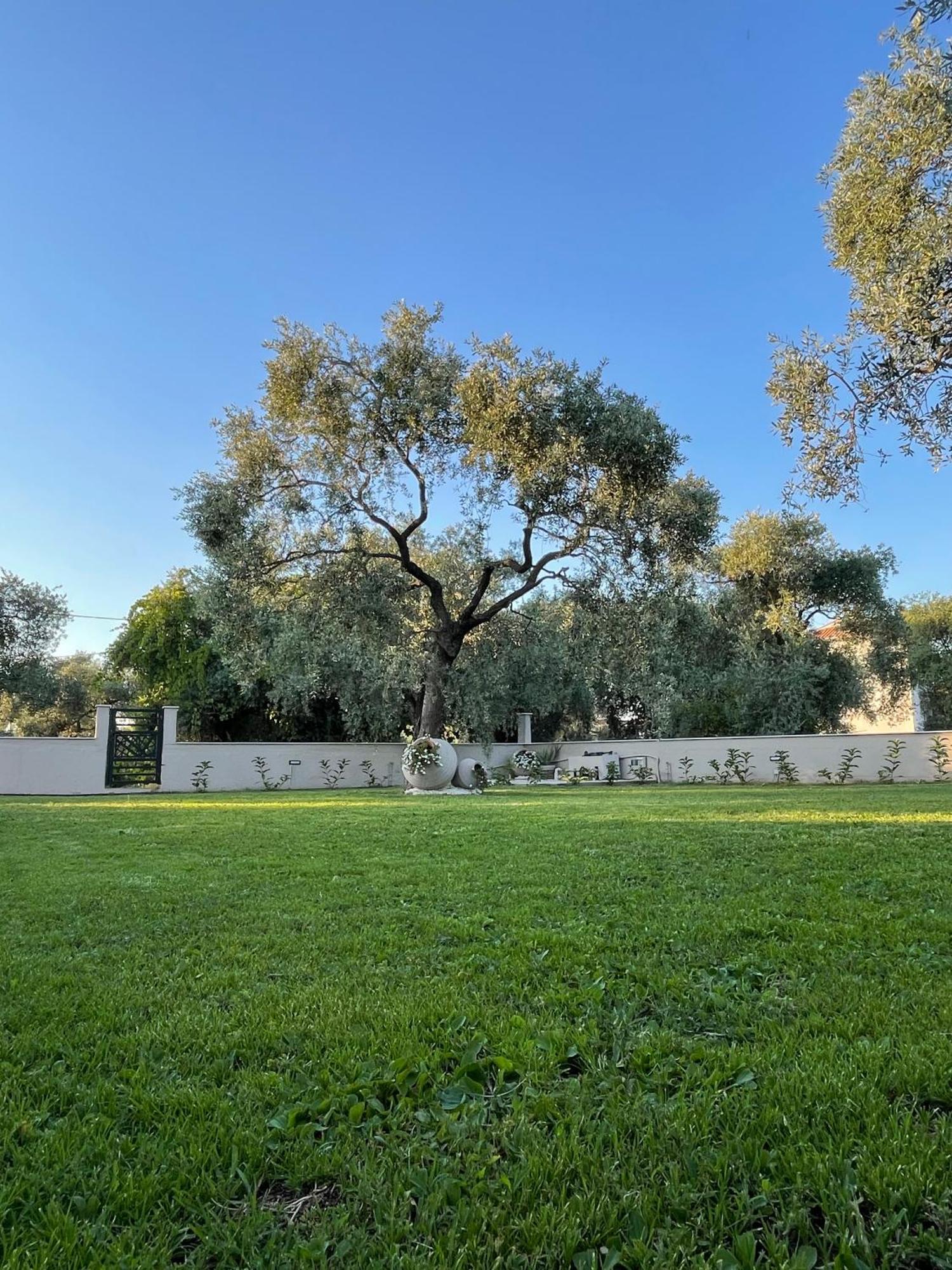 Vera Vita Apartments Skala Rachoni  Buitenkant foto